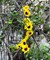 Summer Sunflower Heads – 20pcs Mini Yellow Artificial Silk Flowers for Home, Party, DIY Crafts & Outdoor Decor Floral Arrangements